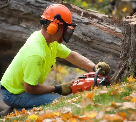 tree services Linthicum